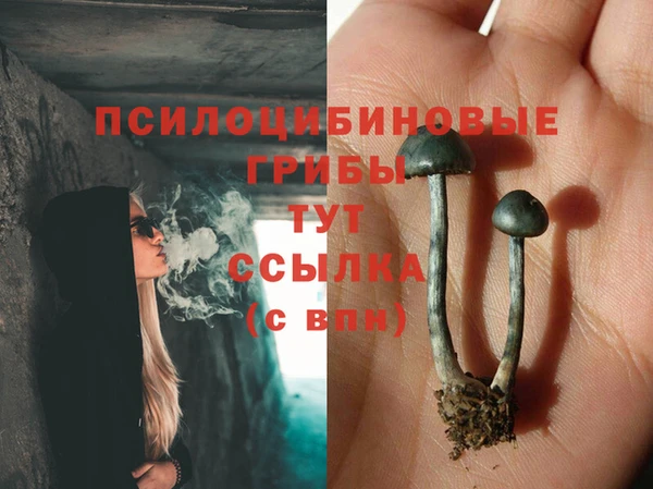 spice Мегион