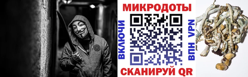 Галлюциногенные грибы мицелий  кракен зеркало  Звенигород 