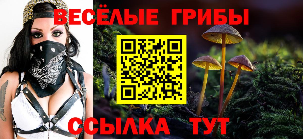 Звенигород  Псилоцибиновые грибы GOLDEN TEACHER  Вход с VPN  купить наркотики сайты  Галлюциногенные грибы MAGIC MUSHROOMS 