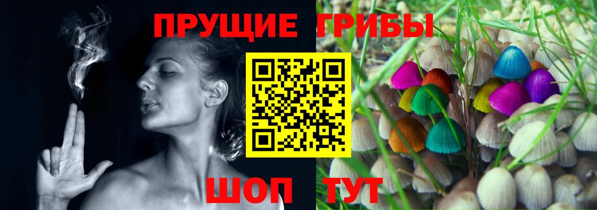 Псилоцибиновые грибы прущие грибы  Звенигород 