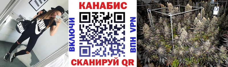 Канабис план  купить наркоту  Звенигород 